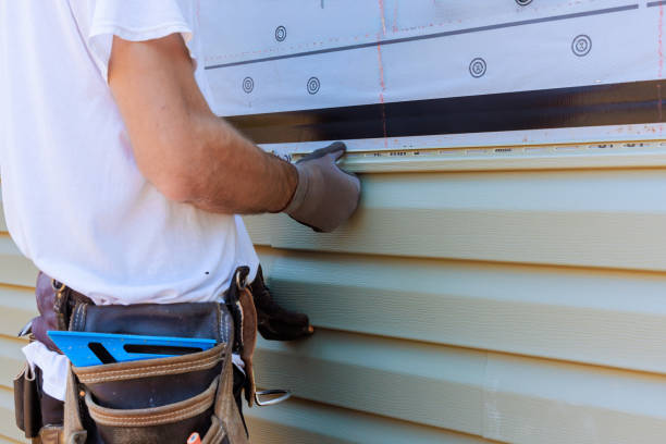 Best Custom Trim and Detailing for Siding  in Roxboro, NC